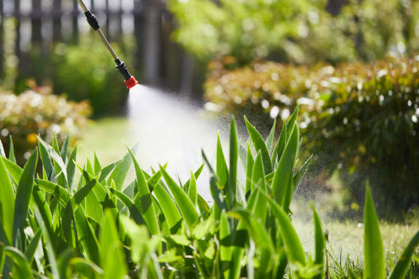 24/7 Emergency Mosquito Control experts in Ripley, MS